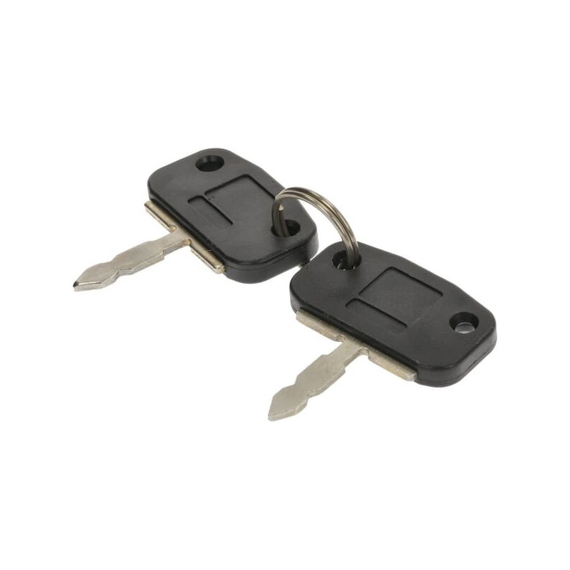 Key set for ignition lock - ME80359