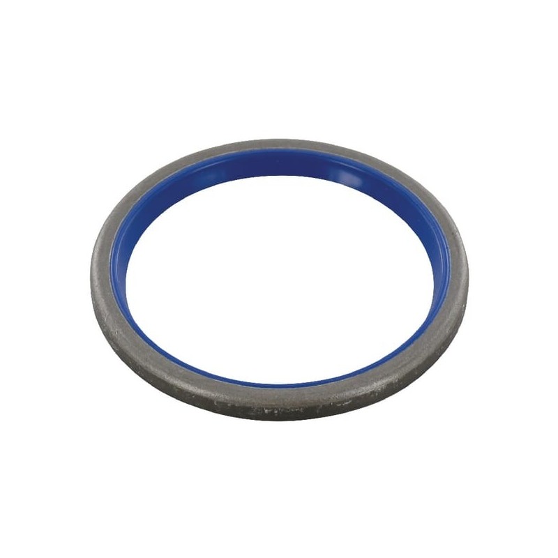 Seal ring - MCWI50604 Seal ring - MCWI50604