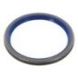 Seal ring - MCWI50604 Seal ring - MCWI50604