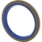 Seal ring - MCWA50655