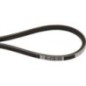 V-belt Mitsuboshi - MD088955 V-belt Mitsuboshi - MD088955