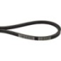 V-belt Mitsuboshi - MD017016 V-belt Mitsuboshi - MD017016