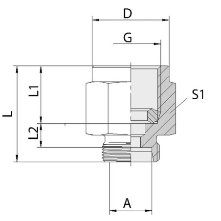 Measuring coupling 12L R1/4 BS - MAS12LR14