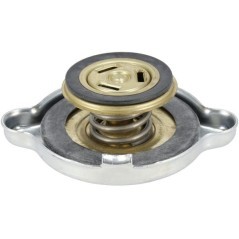 MA52583629 Manitou, Radiator cap 