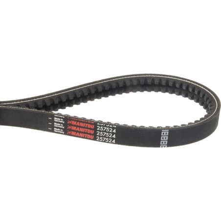 Belt - MA257524