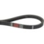 Belt - MA257524 Belt - MA257524
