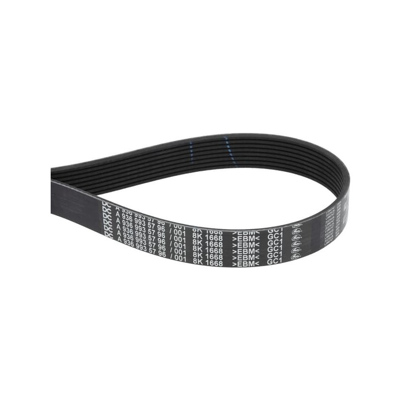 Pas alternatora - MA53012452 Pas alternatora - MA53012452
