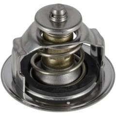 MA964827 Manitou, Thermostate 