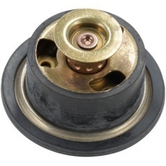 MA52726168 Manitou, Thermostate 