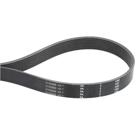 Alternator belt - MA961453