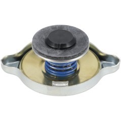 MA189953 Manitou, Radiator cap 