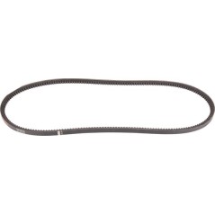 Car belts – produkty dostępne w rolniczeczesci.pl