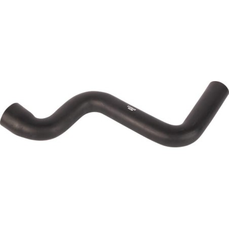 Wąż - MA234945