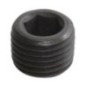 Plug 1/4 inch BSP - MP9T1 Plug 1/4 inch BSP - MP9T1
