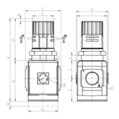 Pressure regulator - MX31R004
