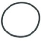 O-ring 3 inch - MLS300ECG