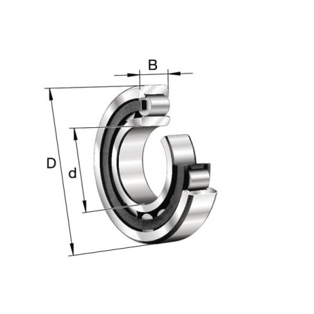 Cylindrical roller bearing - NU219EXLTVP2