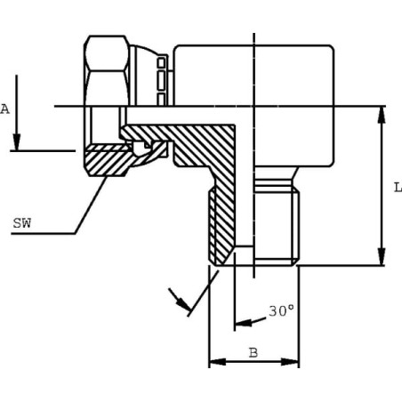 Winkelnippel AG-IG 1/4 BSP - MF9004K
