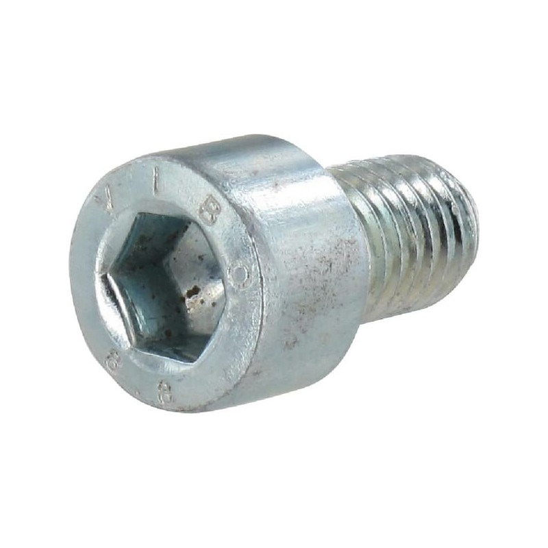 Hex socket bolt M10x16 8.8 - NSI017 Hex socket bolt M10x16 8.8 - NSI017