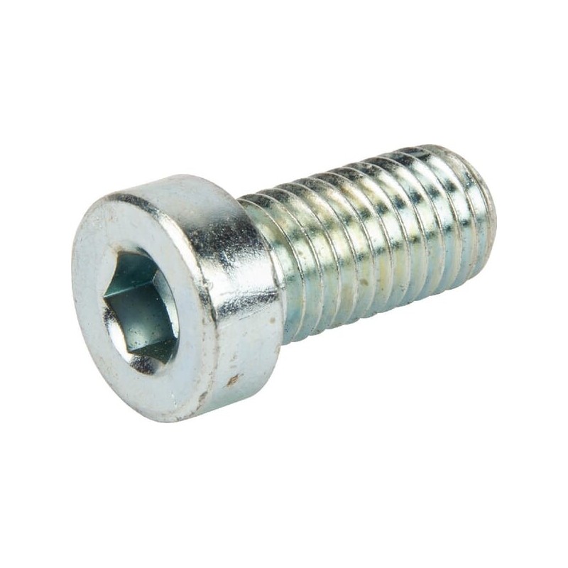 Cylinder bolt M12x25 - NSI027 Cylinder bolt M12x25 - NSI027