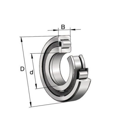 Cylindrical roller bearing - NUP203EXLTVP2