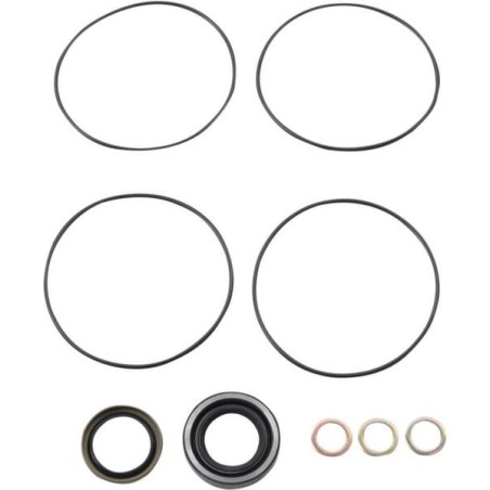 Seal Kit OMM Series 3 151G0202 - OMM9AFD