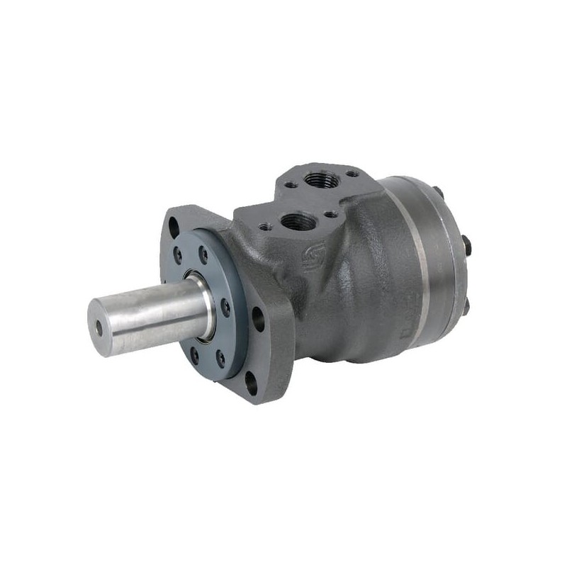 Orbit motor RVS shaft - OMRC801511232