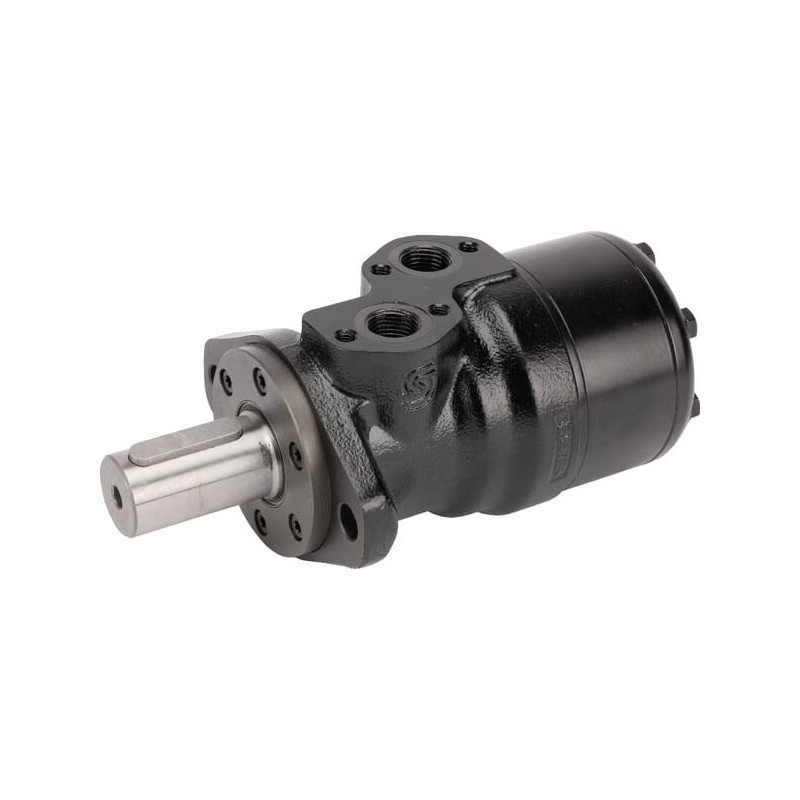 Orbit motor - OMR2501513354