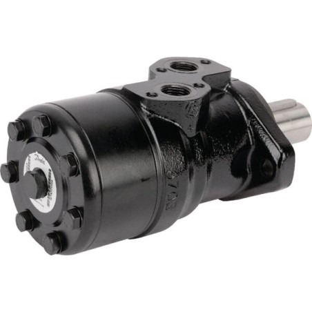 Orbit motor - OMR2501513354