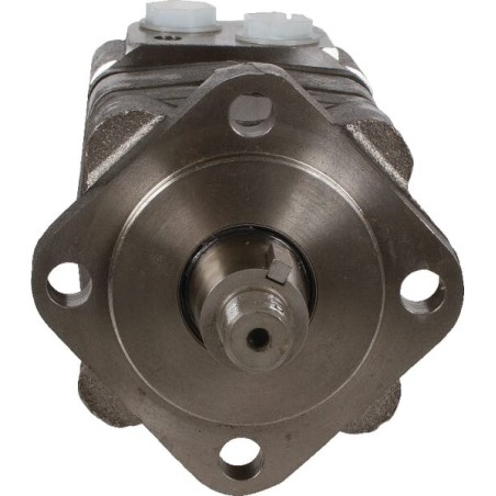 Hydraulic Motor 100cc 110T35 - OMS100151F0515