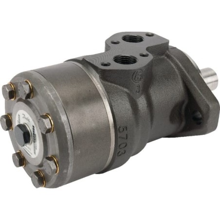 Orbit motor RVS shaft - OMR2001511235