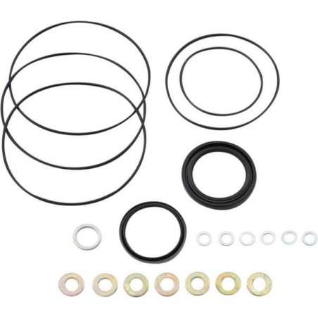 Dichtungssatz 151-1166,OMR/D32mm - OMR9AFD32