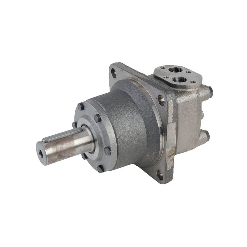 Wheel motor, shaft diameter 40 parallel - OMTW400151B3028