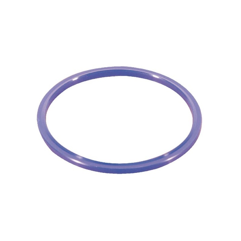 Seal ring SAE 2 - OVP5540
