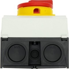 P132I2SVB Eaton, Main switches 