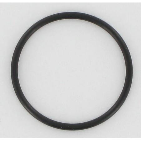 O-Ring 30 x 2 10 St. - OR302P010