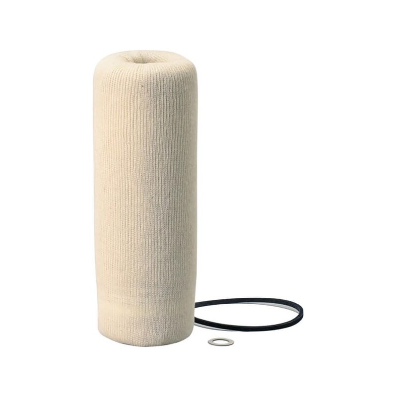 Kraftstofffilter - P550552