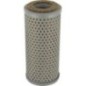 Hydraulic filter Argo - P2061301
