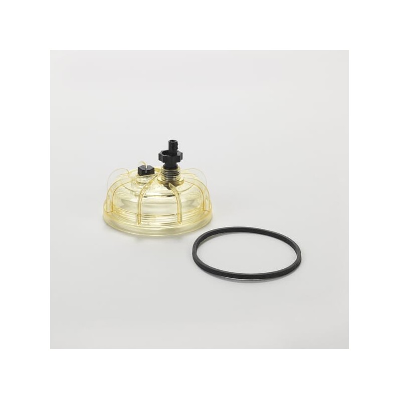 Schauglas - P551860