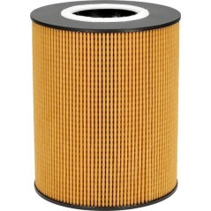Ölfilter Donaldson - P550765