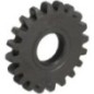 Spur gear - P778184 Spur gear - P778184