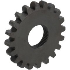 Stirnrad - P778184