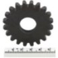 Stirnrad - P778184 Stirnrad - P778184