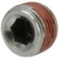 Plug - P792039 Plug - P792039