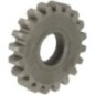 Stirnrad - P778200 Stirnrad - P778200