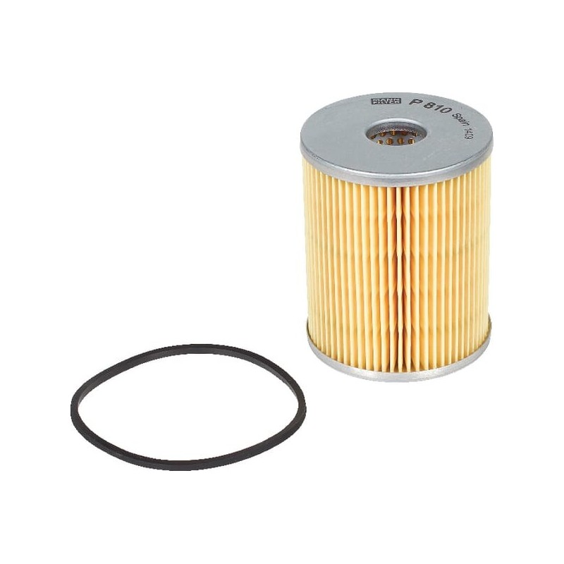 Fuel filter element - P810X