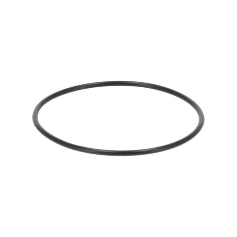 O-Ring - P788024 O-Ring - P788024