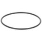 O-Ring - P788024 O-Ring - P788024