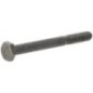 Screw - P792005