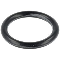 O-ring - P788076